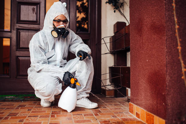 Attic and Crawl Space Rodent Treatment in South Temple